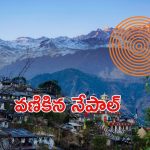 Nepal EarthQuake: నేపాల్‌లో భారీ భూకంపం..53 మంది మృతి, ఊహించని నష్టం