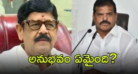 Miniaster Anam-Botsa: దిగజారుడు మాటలొద్దు.. బొత్సపై మంత్రి ఆనం ఫైర్