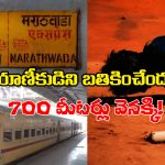Train Reverses: రైల్లో నుంచి పడిపోయిన ప్రయాణీకుడు, కాపాడేందుకు 700 మీటర్లు వెనక్కి వెళ్లిన ట్రైన్, చివరికి ఏమైందంటే?