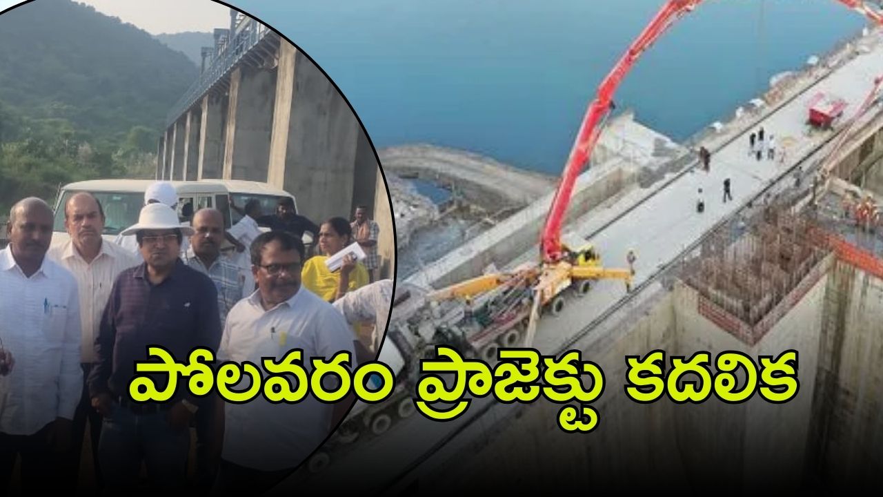 Polavaram Project: పోలవరం ప్రాజెక్టు..  జలవనరుల పార్లమెంటరీ కమిటీ పరిశీలన