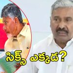 Peddireddy On Chandrababu: సీఎం చంద్రబాబుపై పెద్దిరెడ్డి ఫైర్.. ప్రజల్ని మోసం చేశారంటూ రుసరుస