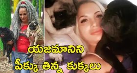 Pet Dogs Eat Corpse: ఇంట్లో అనుమాస్పద స్థితిలో మహిళ శవం.. మృతదేహాన్ని తిన్న పెంపుడు కుక్కలు