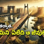 Scientist Hints: భూమ్మీద మానవులు అంతరిస్తే? మన స్థానంలోకి వచ్చే తెలివైన జంతువు ఏదో తెలుసా?