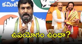 Satyam On Bjp: బీజేపీపై సత్యం ఆగ్రహం.. ఐదేళ్లు ఏమైనా చేశారా, ఎదిగిందా?