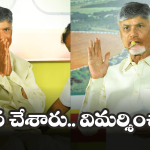 CM Chandrababu: నన్ను అవమానించారు.. సీఎం చంద్రబాబు భావోద్వేగం