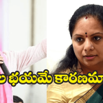 BRS Party: బీజేపీపై నో కామెంట్? బీఆర్ఎస్ సాఫ్ట్ కార్నర్? అసలు సంగతి ఇదేనా?