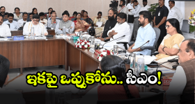CM Revanth Reddy: సీఎం రేవంత్ రెడ్డి ఆగ్రహం.. ఇకపై జోరుగా తనిఖీలు