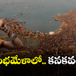 kumbh mela: కుంభమేళాలో టాప్ బిజినెస్ ఇదే.. లక్షల్లో లాభాలు..