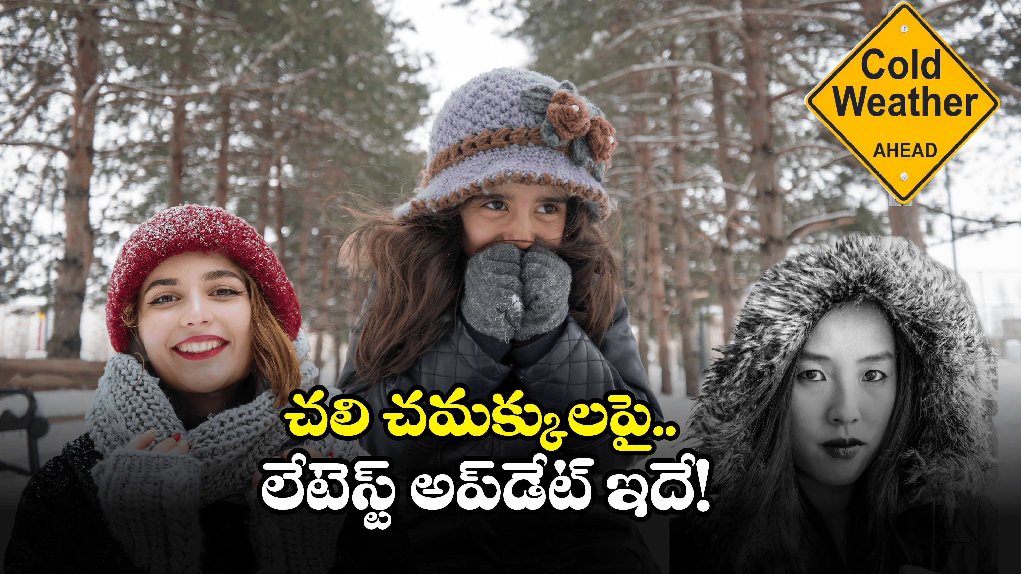 Telangana Weather: చలిగాలులపై వాతావరణ శాఖ హెచ్చరిక.. ఆ జిల్లాలలో భారీ ఎఫెక్ట్.. తస్మాత్ జాగ్రత్త