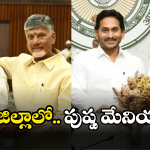 Pushpa – AP Politics: ఏపీలో ఆ ఒకటి తగ్గిందట.. ఇప్పుడంతా అదే చర్చ..