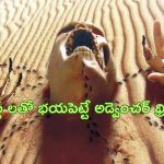 OTT Movie : ఎడారిలో మారణహోమం… మనుషులను భయపెట్టి చంపే వింత ఆకారాలు