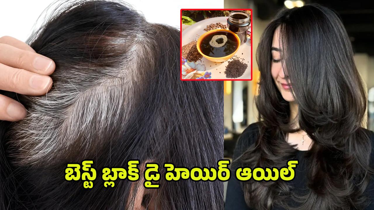 White Hair Tips: అమ్మమ్మల ఫార్ములా.. తెల్లజుట్టును నల్లగా మార్చాలంటే ఈ నాచురల్ చిట్కా పాటించండి