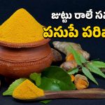 Hair Care: పసుపుతో జుట్టు రాలిపోకుండా అడ్డుకోవచ్చు.. ఇదిగో ఇలా వాడాలి