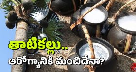 Airbus Helicopters:  ఇండియాలో ఎయిర్‌బస్ హెలికాఫ్టర్ యూనిట్.. రేసులో ఏపీ సహా ఆ నాలుగు రాష్ట్రాలు