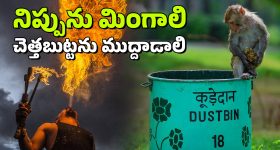 Rahu Nakshatra Transit 2025: రాహువు నక్షత్ర మార్పు.. జనవరి 12 నుండి వీరికి డబ్బే.. డబ్బు