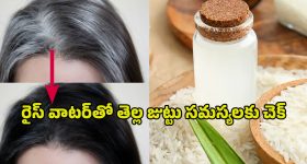 Ustaad Bhagath Singh : హరిష్ శంకర్ కు దిమ్మతిరిగే షాక్ ఇచ్చిన పవన్... ఇన్ని కండిషన్లా?