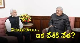 Vijayasai Reddy Resign: వాళ్లను దేశం నుంచి తరిమేయండి.. విజయ సాయి కొత్త అవతారం