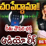 Land Grabbing Case : రాష్ట్రంలో భూ మాయలు.. ఈ ఆడియోలో అన్ని బాగోతాలు..