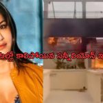 Sunny leone: కాలిఫోర్నియా కారుచిచ్చులో దగ్ధమైన సన్నీలియోన్ ఇల్లు.. మొత్తం నష్టం ఎన్ని కోట్లంటే..?