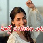 Pooja Hegde: ఈ సినిమా సక్సెస్ కాకపోతే.. పూజా తట్టా బుట్ట సర్దాల్సిందేనా..?