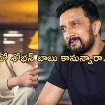 Kiccha Sudeep: ఇండస్ట్రీకి దూరం కాబోతున్న స్టార్ హీరో.. అసలేమైందంటే.?