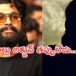 Allu Arjun : అల్లు అర్జున్ ను అనవసరంగా ఇరికించకండి.. కొరియోగ్రాఫర్ షాకింగ్ కామెంట్స్..