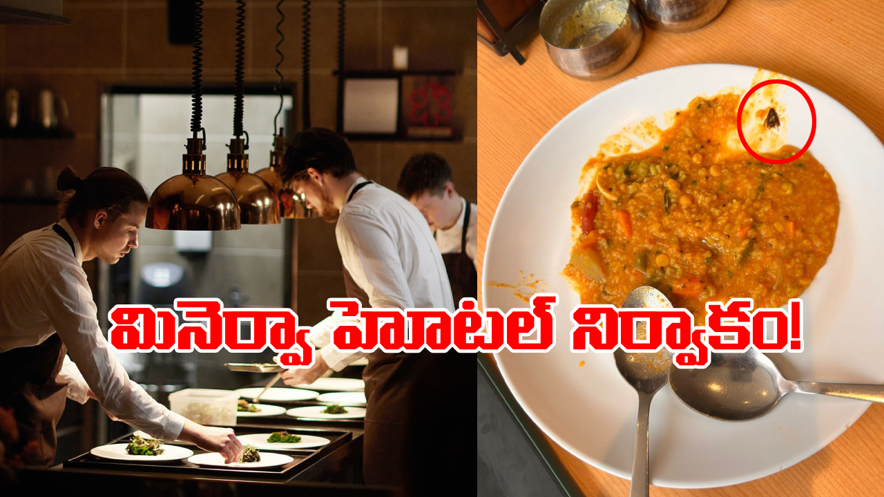 Cockroach In Sambar Rice: సాంబార్ రైస్ ఆర్డర్ పెట్టిన కస్టమర్లు, వామ్మో..  తింటుండగా ఒక్కసారి షాక్!