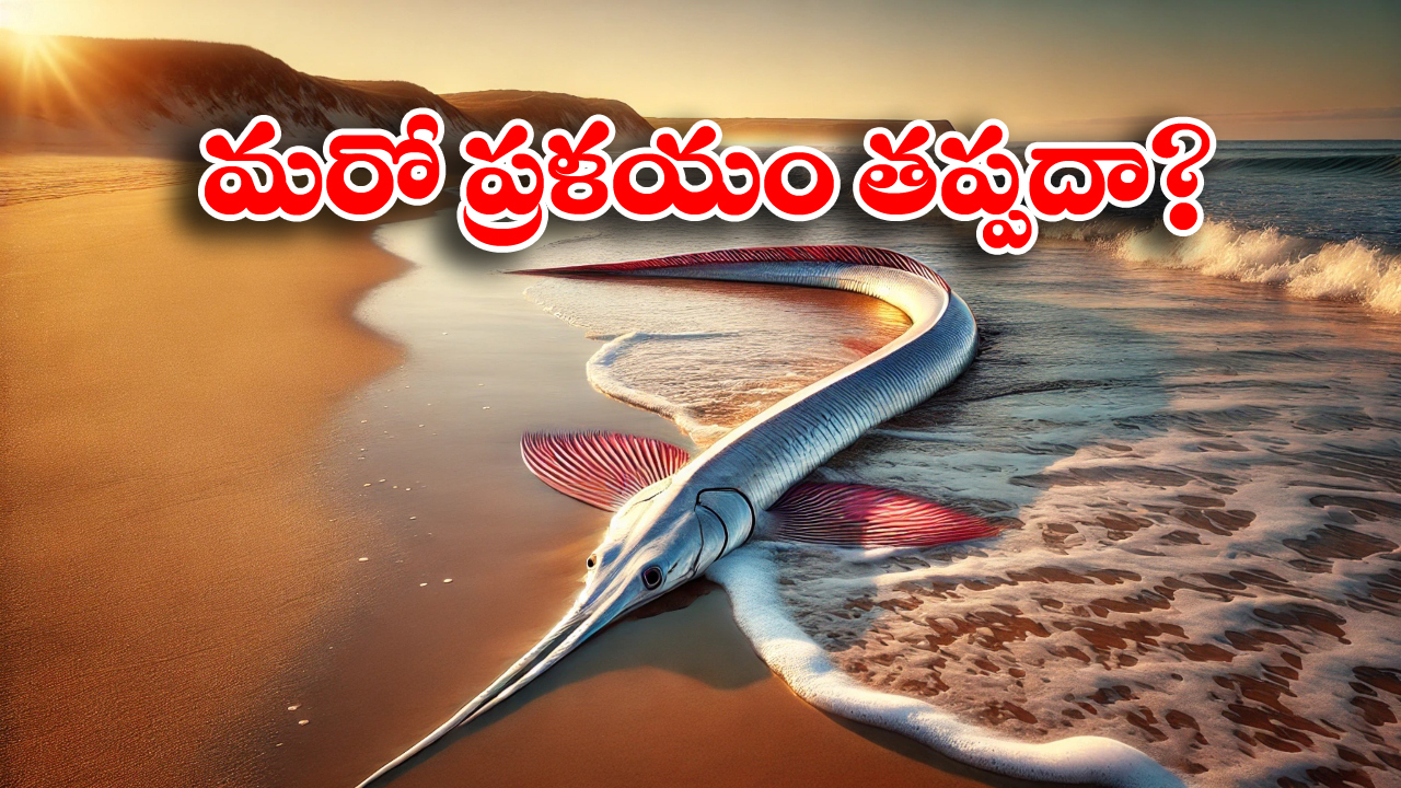 Doomsday fish: ఒడ్డుకు కొట్టుకొచ్చిన ఆ చేప.. ఇక విధ్వంసమేనా?