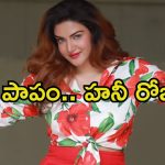 Honey Rose: మరోసారి బాధితురాలిగా మారిన హనీ రోజ్.. ఆ కేసు వల్ల భారీ ఎఫెక్ట్