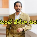 Siddharth: అమ్మాయిలను కొట్టే పాత్రలు నేను చేయను.. వారిపై సిద్ధార్థ్ ఇన్‌డైరెక్ట్ కామెంట్స్