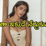 Pooja Hegde: బ్యాక్‌గ్రౌండ్ లేకుండా వచ్చి గెలిచాను.. కెరీర్ విషయంలో పూజా హెగ్డే కామెంట్స్