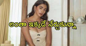Pooja Hegde: బ్యాక్‌గ్రౌండ్ లేకుండా వచ్చి గెలిచాను.. కెరీర్ విషయంలో పూజా హెగ్డే కామెంట్స్