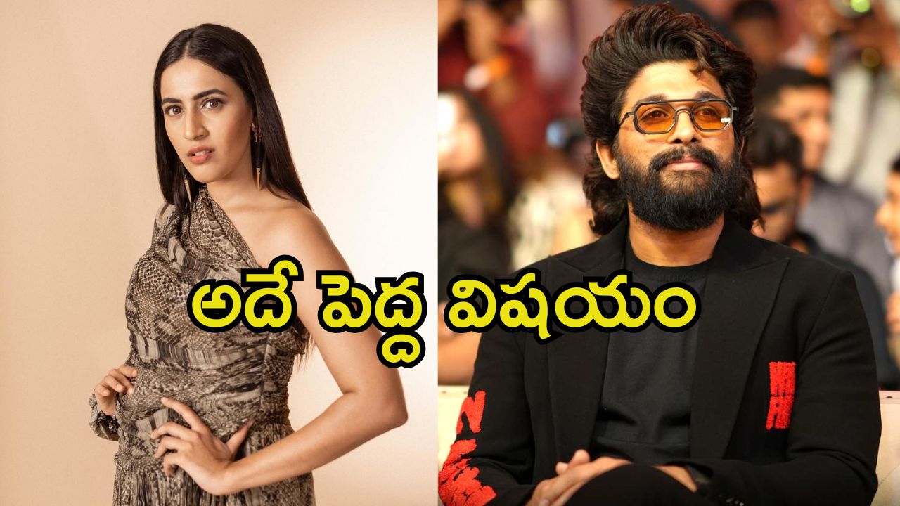 Niharika About Allu Arjun Case: రేవతి మృతిపై మెగా డాటర్ రియాక్షన్.. బన్నీ ఇప్పుడిప్పుడే మారుతున్నాడు