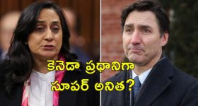 Canada Anita Anand: అనితా ఆనంద్.. కెనెడా ప్రధాని రేసులో దూసుకుపోతున్న భారత వనిత