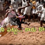Tamil Nadu Jallikattu 2025: తమిళనాడులో జల్లికట్టు ప్రారంభం.. బరిలో 1100 ఎద్దులు.. కారు బహుమానం