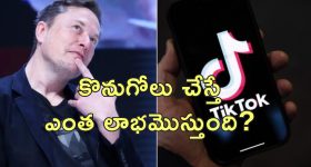Elon Musk Buy Tik Tok : టిక్ టాక్ ఇక మస్క్ చేతికి?.. విక్రయించే యోచనలో చైనా