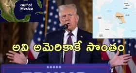 Shah Rukh Khan : కొత్త లగ్జరీ కారులో దర్శనమిచ్చిన షారుఖ్... ఆ కారు కాస్ట్ ఎంతో తెలిస్తే షాకవ్వాల్సిందే