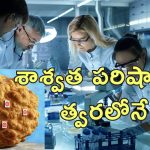 Cancer Treatment Yale University : క్యాన్సర్ ట్యూమర్లపై ముప్పేట దాడి.. యేల్ యూనివర్సిటీ కొత్త ప్రయోగం