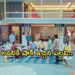 Intinti Ramayanam Today Episode : భానుమతికి కమల్ షాక్.. పల్లవి ప్లాన్ లో ఇరుక్కున్న అవని..