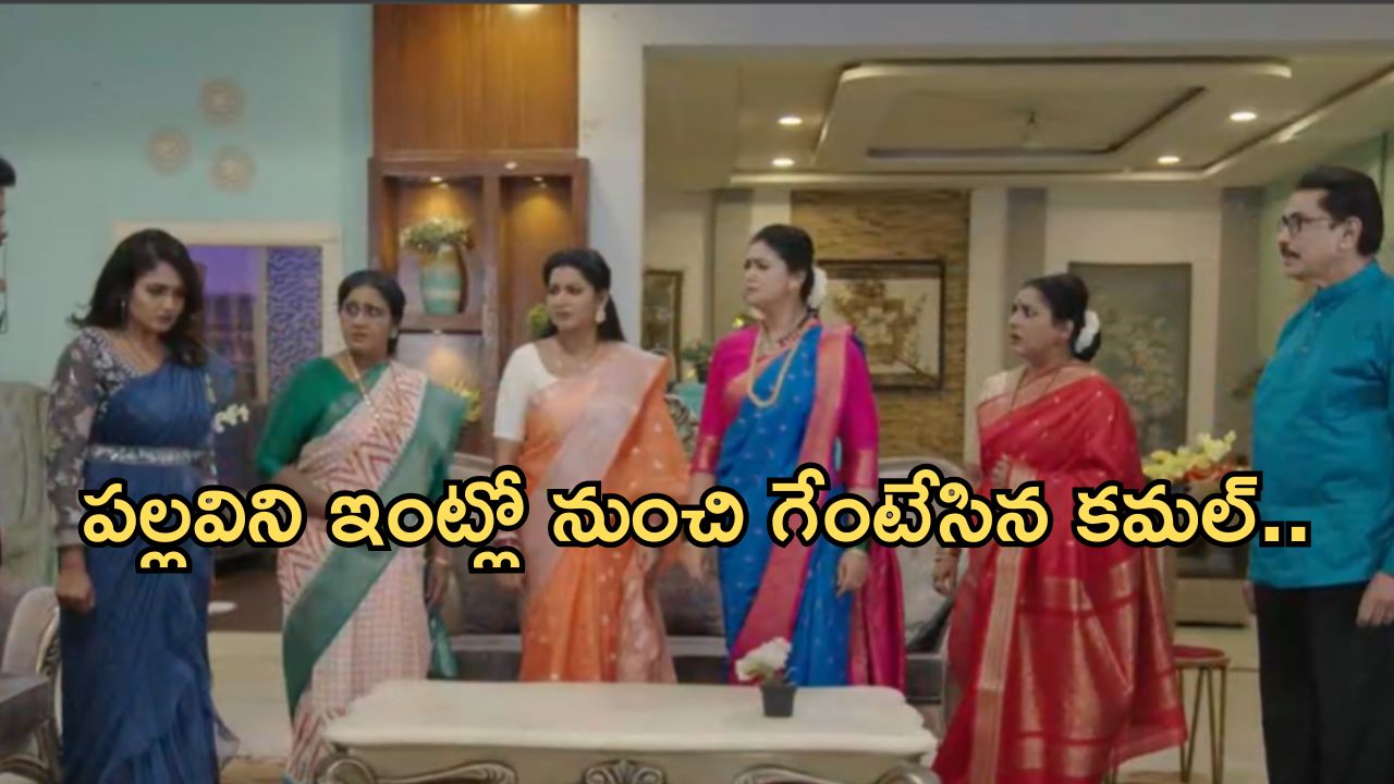 Intinti Ramayanam Today Episode : పల్లవి ప్లాన్ రివర్స్.. అసలు దొంగను బయటపెట్టిన చెంచులమ్మ..