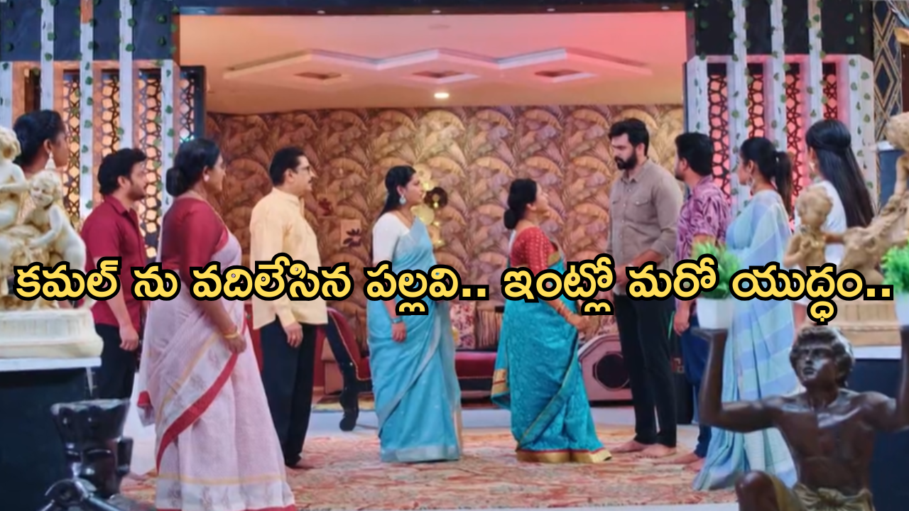 Intinti Ramayanam Today Episode : ఆస్తి కోసం పల్లవి ప్లాన్.. తల్లి కోసం అక్షయ్ పోరాటం..