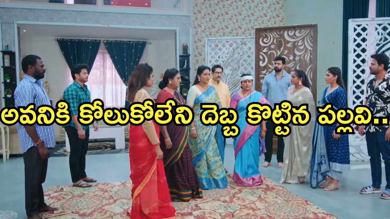 Intinti Ramayanam Today Episode : అవనిని ఇంట్లోంచి గేంటేసిన పార్వతి.. కన్నీళ్లు తెప్పిస్తున్న అవని పరిస్థితి..