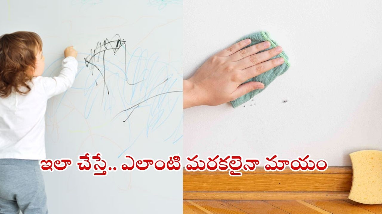 Tips For Wall Cleaning: ఇలా చేస్తే.. గోడలపై ఉన్న మరకలు క్షణాల్లోనే మాయం