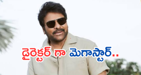 Megastar Chiranjeevi : చిరంజీవి డైరెక్టర్ గా చేసిన ఒకే ఒక్క సినిమా.. హిట్ కొట్టిందా..?