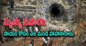 China Manja Effect: చైనా మాంజాలు వద్దన్నా.. పెడచెవిన పెట్టారు.. చివరికి ఇలా చేశారు!