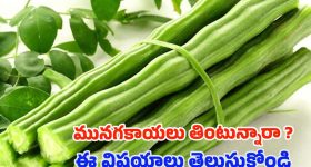 Drumsticks: మునగ కాయలు తింటే.. ఈ వ్యాధులు రమ్మన్నా రావు !