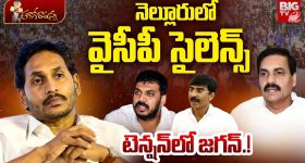 YCP in Nellore: ఏపీలో ఆ జిల్లాకు ఏమైంది.. ఒకప్పుడు వైసీపీ కంచుకోట.. ఇప్పుడేమో..?