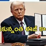 USA BirthRight Citizenship: అమెరికా జన్మతః పౌరసత్వం రద్దు.. చిక్కుల్లో ప్రవాస భారతీయులు