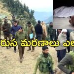 Mysterious Illness Kashmir: కశ్మీర్‌లో వింత వ్యాధితో వరుస మరణాలు.. రంగంలోకి కేంద్ర బృందం!