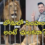 Tik Tok Lion Attack : వైరల్ వీడియో కోసం సింహంతో ఆటలు.. పాకిస్తానీపై పంజా విసిరిన మృగరాజు